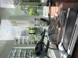 Lucida (D11), Apartment #34355342